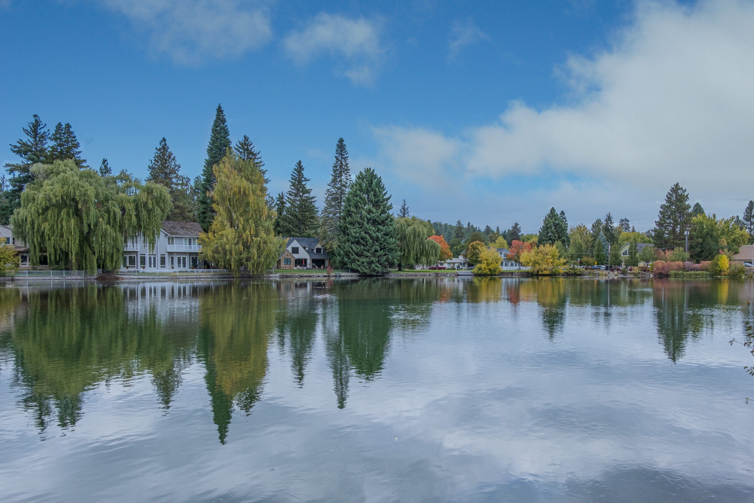 A clear lake with reflection of clouds in it surrounded with forest